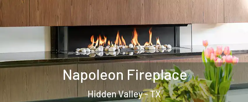 Napoleon Fireplace Hidden Valley - TX