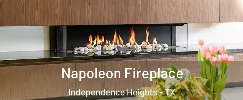 Napoleon Fireplace Independence Heights - TX