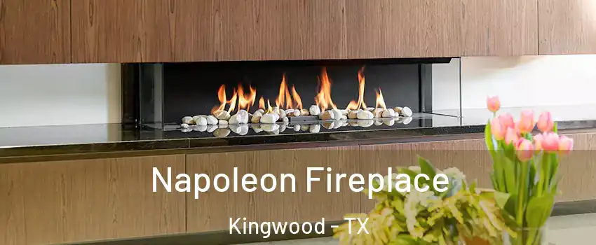 Napoleon Fireplace Kingwood - TX