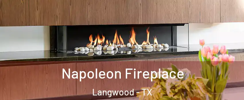 Napoleon Fireplace Langwood - TX