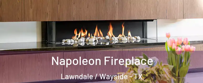 Napoleon Fireplace Lawndale / Wayside - TX