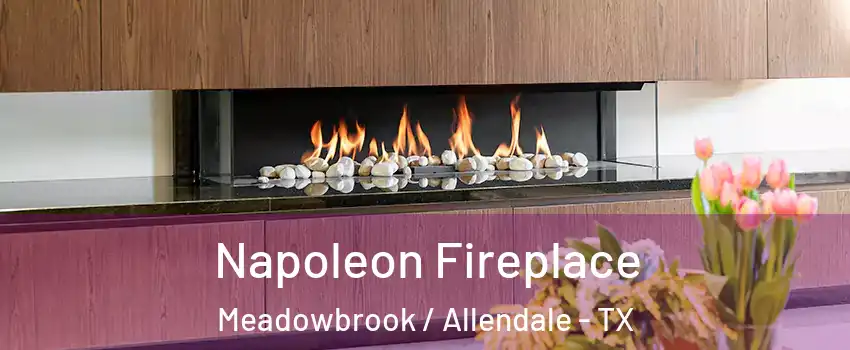 Napoleon Fireplace Meadowbrook / Allendale - TX