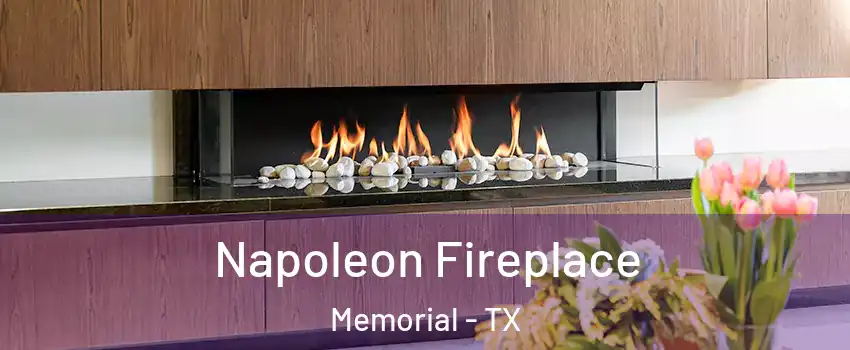 Napoleon Fireplace Memorial - TX