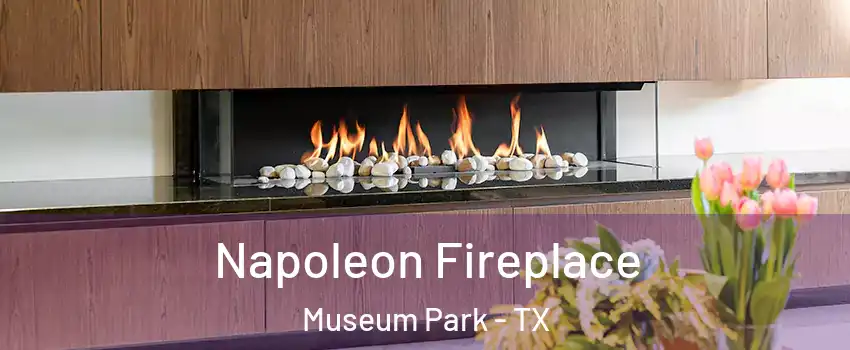 Napoleon Fireplace Museum Park - TX