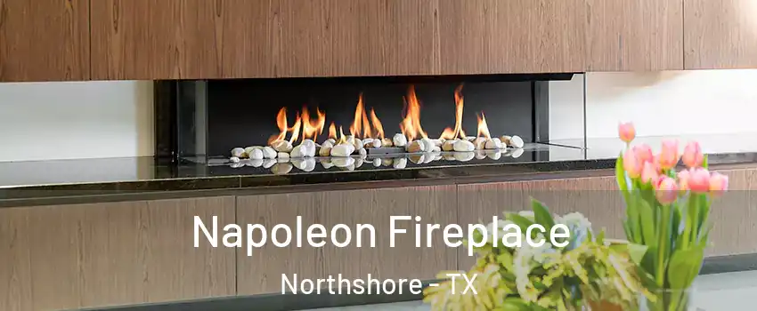 Napoleon Fireplace Northshore - TX