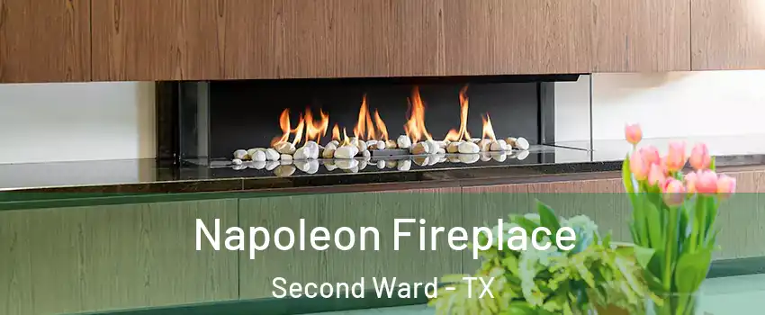 Napoleon Fireplace Second Ward - TX