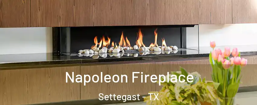Napoleon Fireplace Settegast - TX