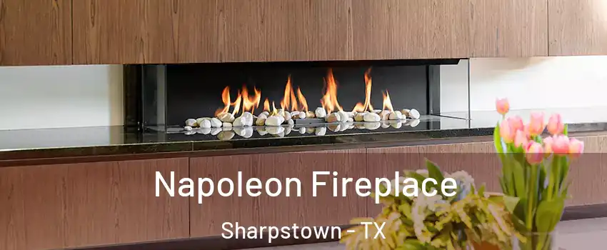 Napoleon Fireplace Sharpstown - TX