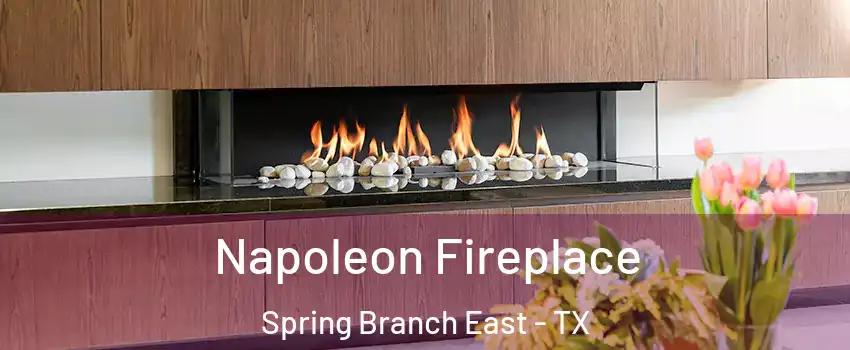 Napoleon Fireplace Spring Branch East - TX