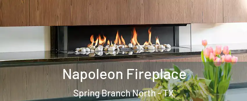 Napoleon Fireplace Spring Branch North - TX