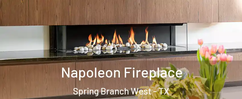 Napoleon Fireplace Spring Branch West - TX