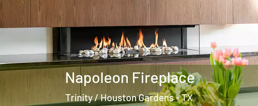Napoleon Fireplace Trinity / Houston Gardens - TX