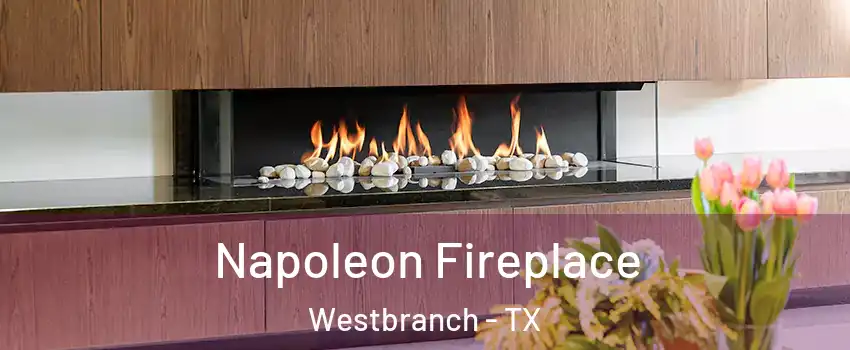 Napoleon Fireplace Westbranch - TX
