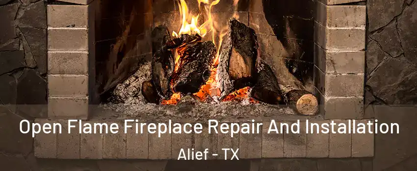 Open Flame Fireplace Repair And Installation Alief - TX