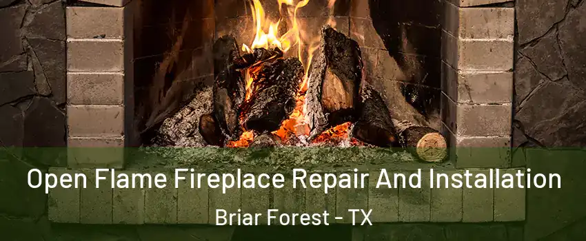Open Flame Fireplace Repair And Installation Briar Forest - TX
