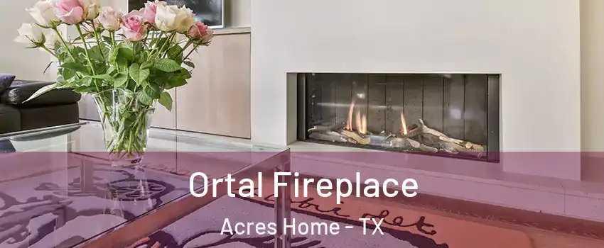 Ortal Fireplace Acres Home - TX