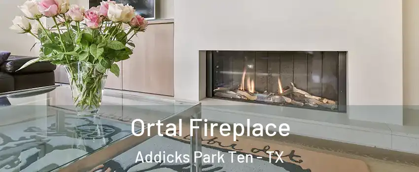 Ortal Fireplace Addicks Park Ten - TX