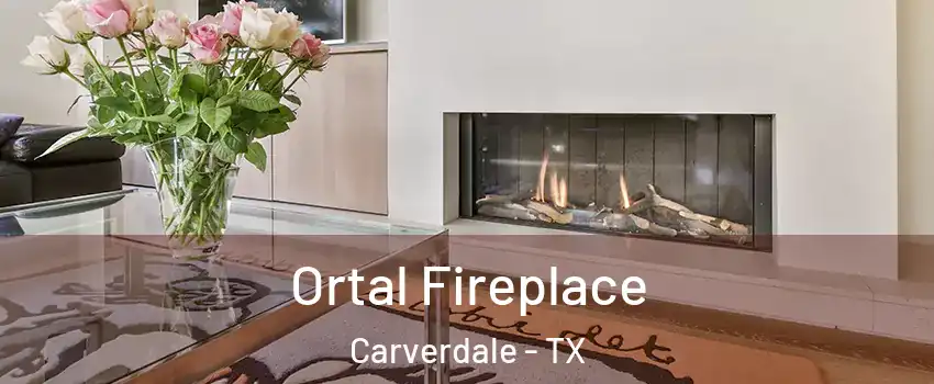 Ortal Fireplace Carverdale - TX