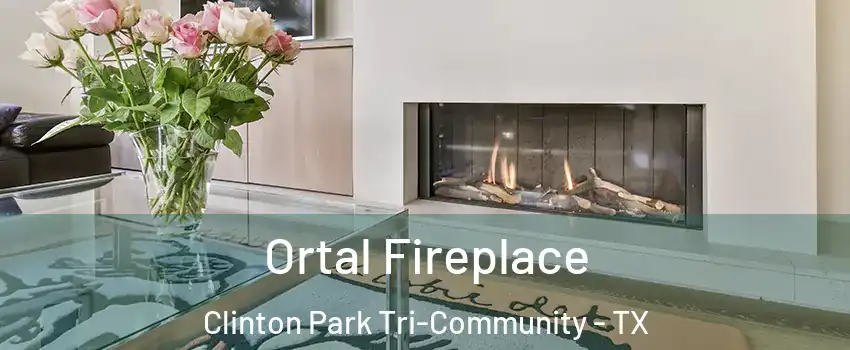 Ortal Fireplace Clinton Park Tri-Community - TX