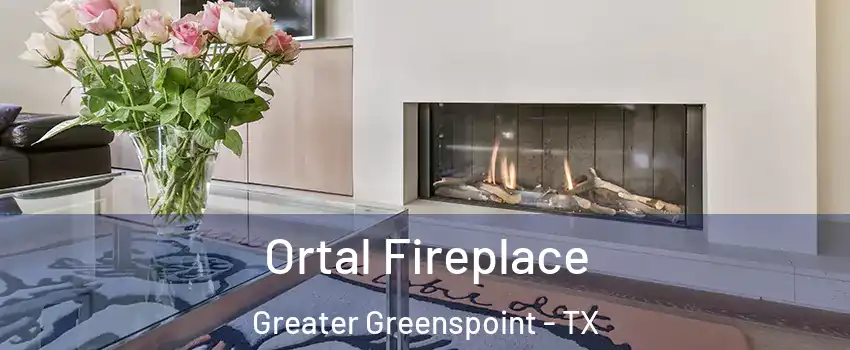 Ortal Fireplace Greater Greenspoint - TX