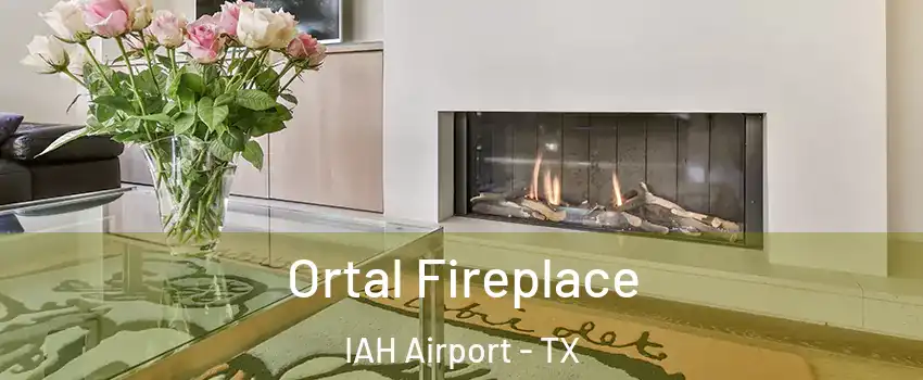Ortal Fireplace IAH Airport - TX