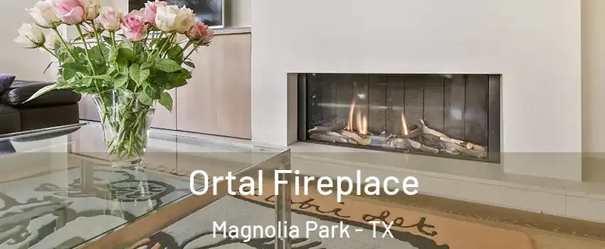 Ortal Fireplace Magnolia Park - TX