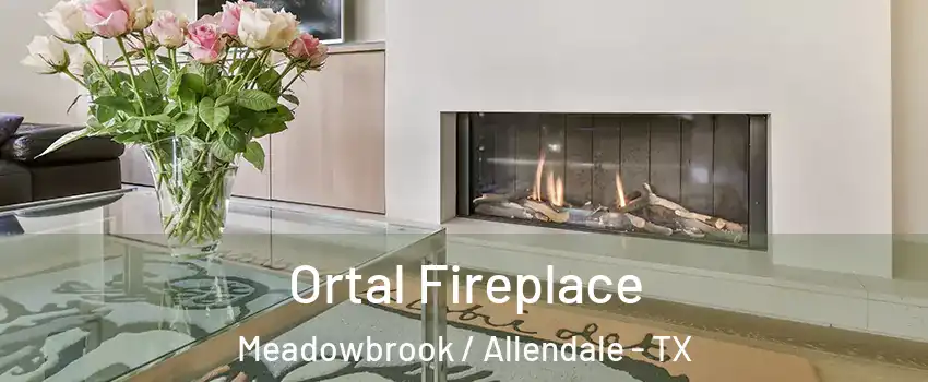 Ortal Fireplace Meadowbrook / Allendale - TX