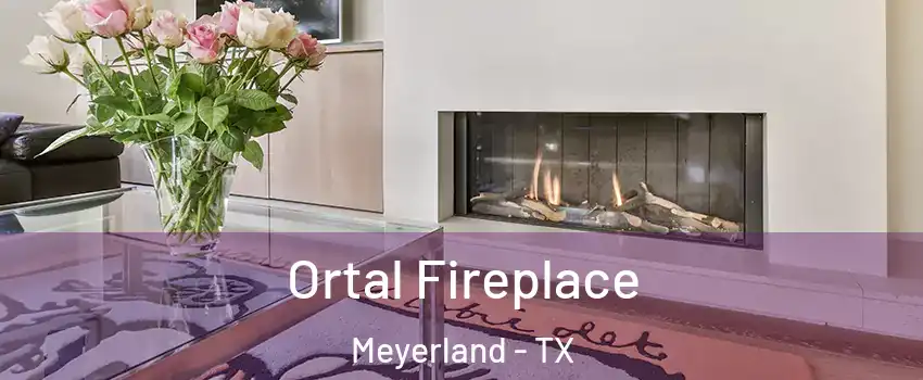 Ortal Fireplace Meyerland - TX