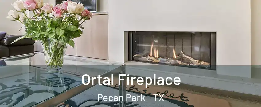 Ortal Fireplace Pecan Park - TX