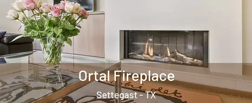 Ortal Fireplace Settegast - TX