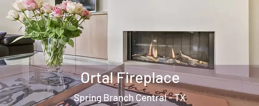 Ortal Fireplace Spring Branch Central - TX