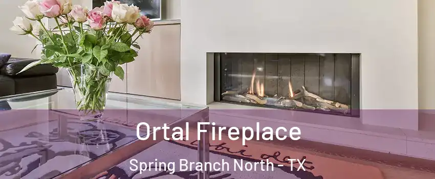 Ortal Fireplace Spring Branch North - TX