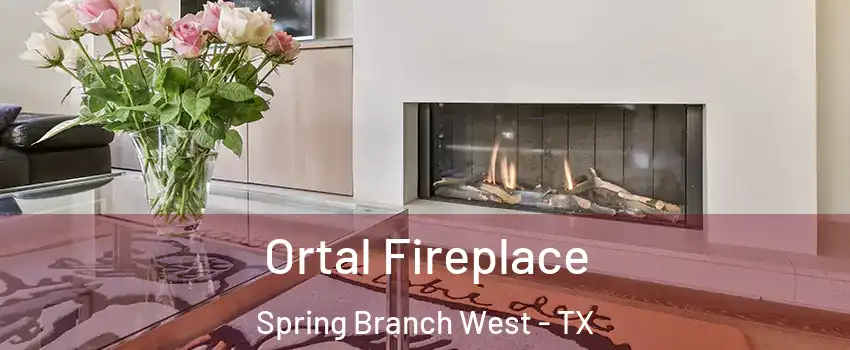 Ortal Fireplace Spring Branch West - TX