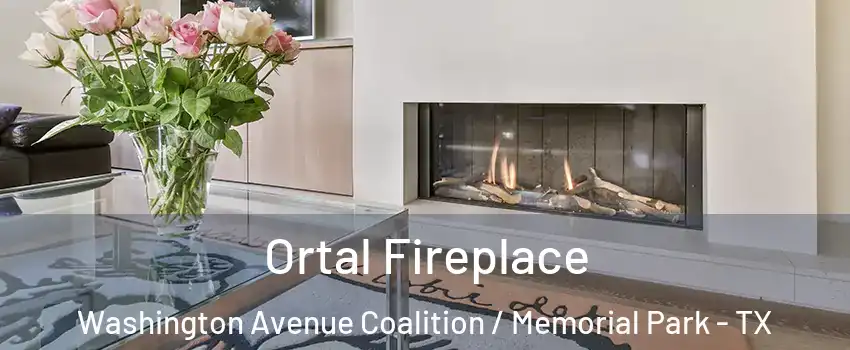 Ortal Fireplace Washington Avenue Coalition / Memorial Park - TX