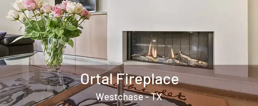 Ortal Fireplace Westchase - TX
