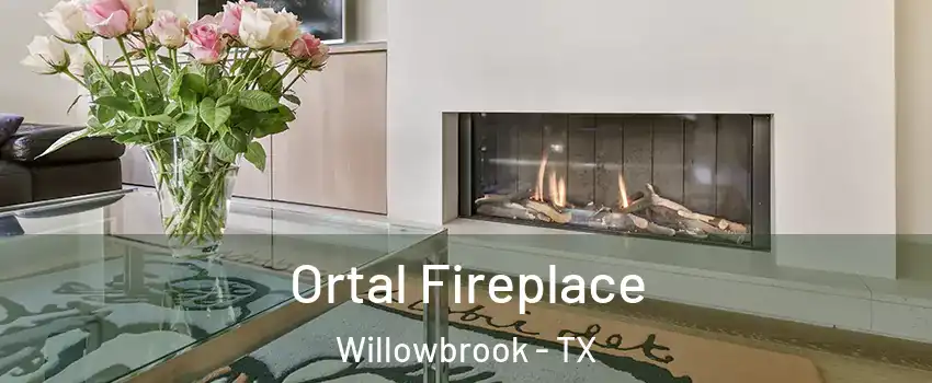 Ortal Fireplace Willowbrook - TX