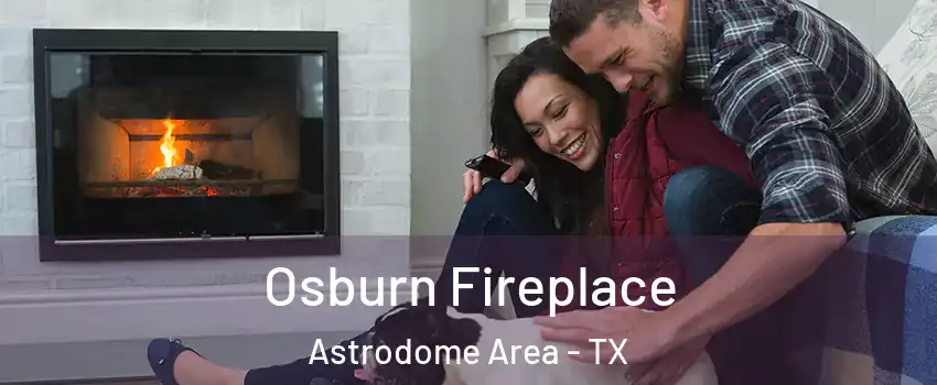 Osburn Fireplace Astrodome Area - TX
