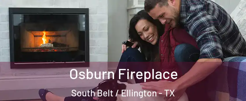 Osburn Fireplace South Belt / Ellington - TX