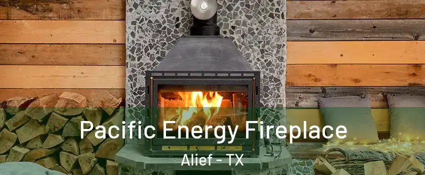 Pacific Energy Fireplace Alief - TX
