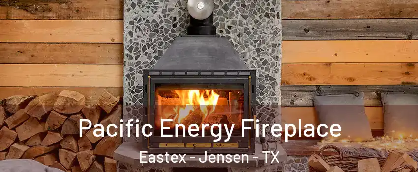 Pacific Energy Fireplace Eastex - Jensen - TX