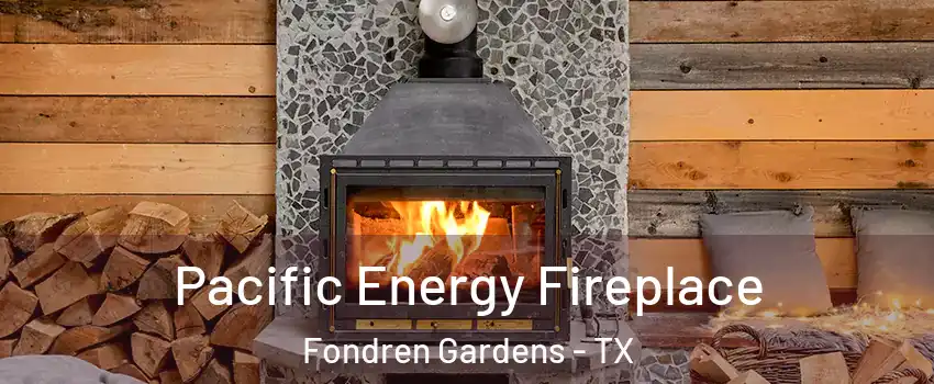 Pacific Energy Fireplace Fondren Gardens - TX