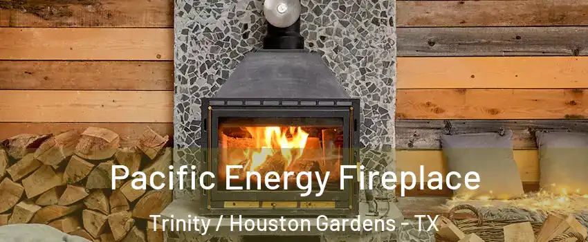 Pacific Energy Fireplace Trinity / Houston Gardens - TX