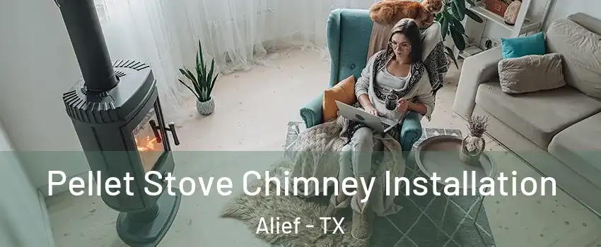 Pellet Stove Chimney Installation Alief - TX