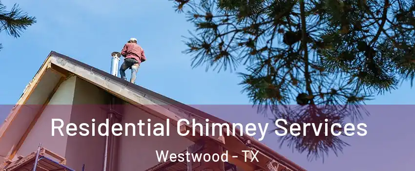 Residential Chimney Services Westwood - TX