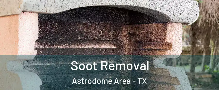 Soot Removal Astrodome Area - TX