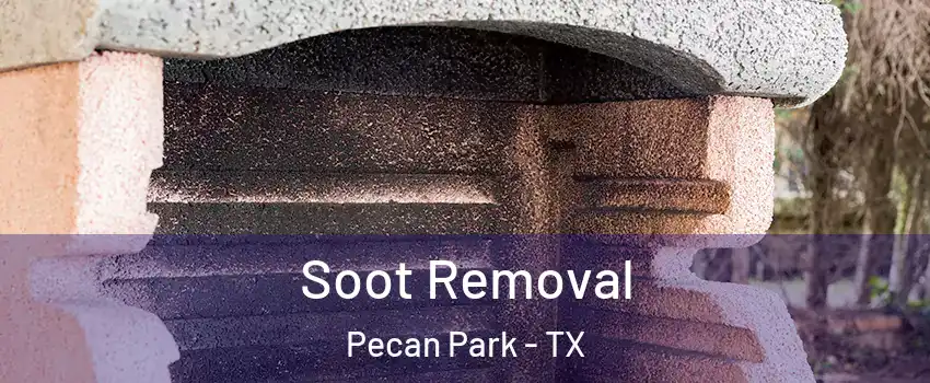 Soot Removal Pecan Park - TX