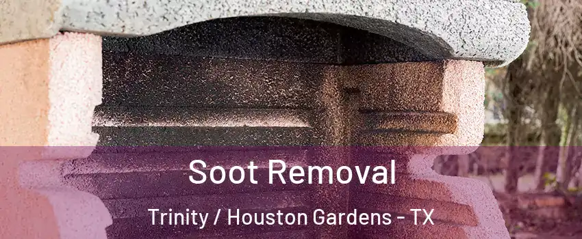 Soot Removal Trinity / Houston Gardens - TX