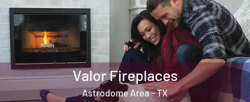 Valor Fireplaces Astrodome Area - TX