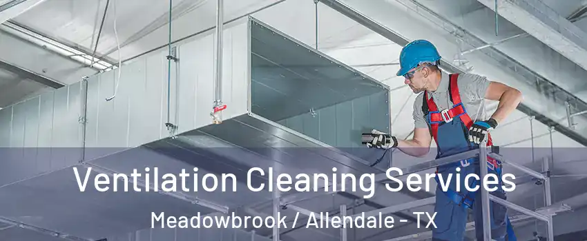 Ventilation Cleaning Services Meadowbrook / Allendale - TX