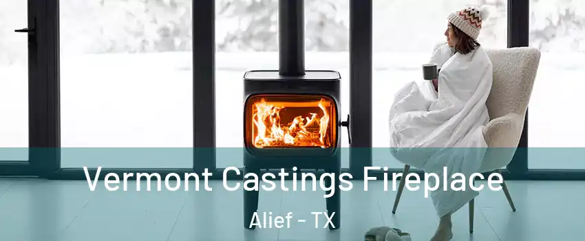 Vermont Castings Fireplace Alief - TX
